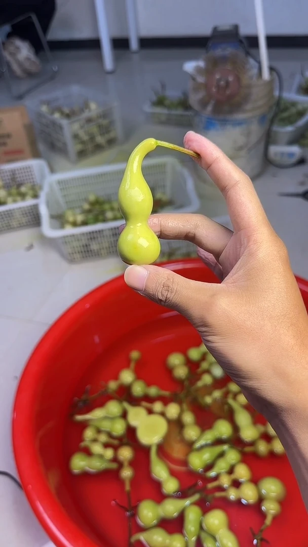 西****司文玩葫芦摆件手把件本捻