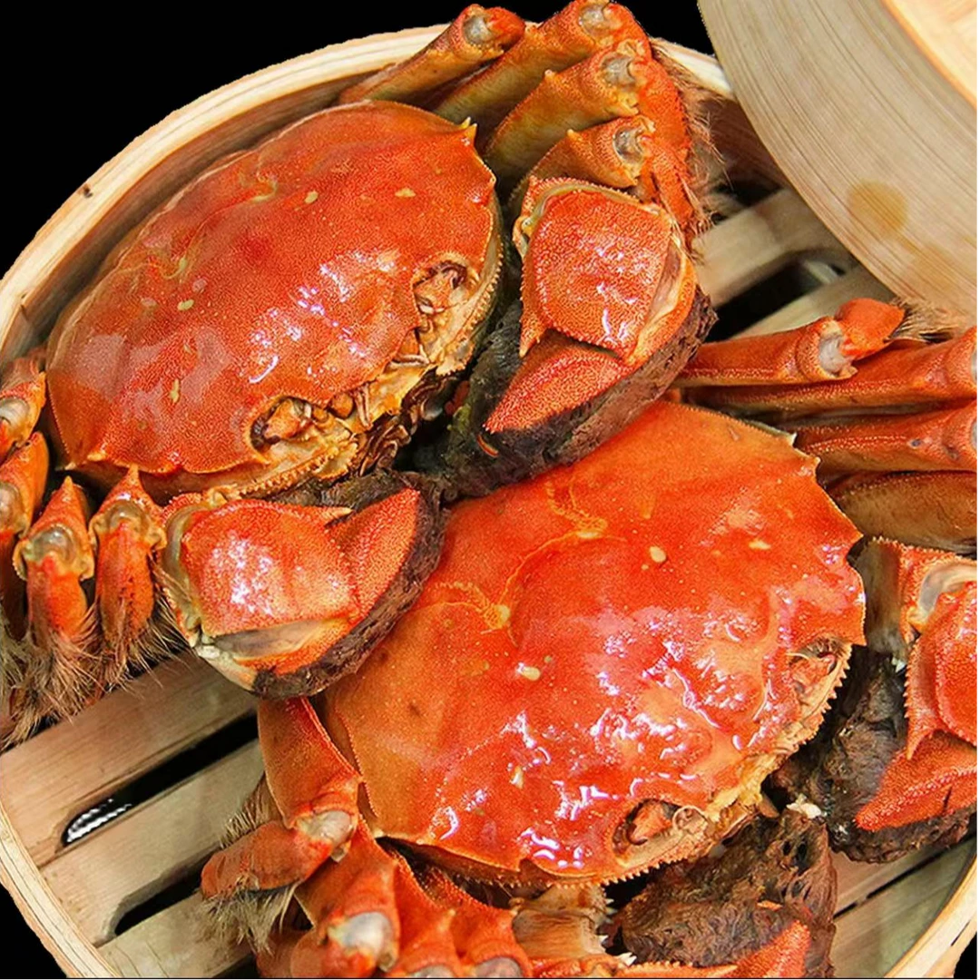 【活蟹】江苏精品大闸蟹公4.0-3.7两母3.0-2.7两加2只到手10/8只