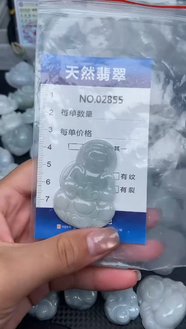 颈饰未镶嵌翡翠纯天然A货翡翠2855