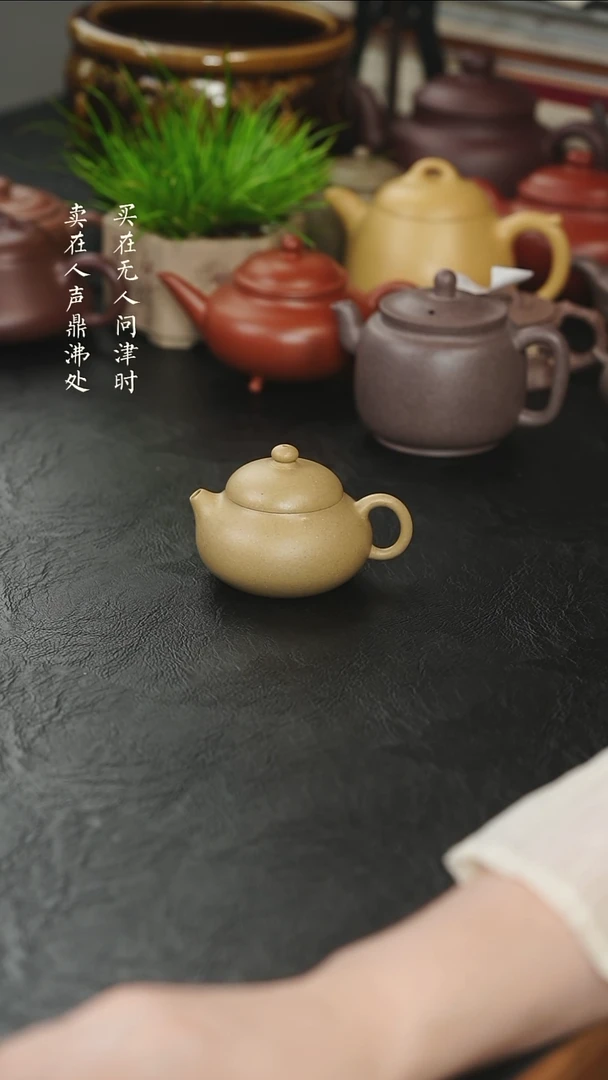 茶壶紫砂拾珍堂梨皮本绿小文旦