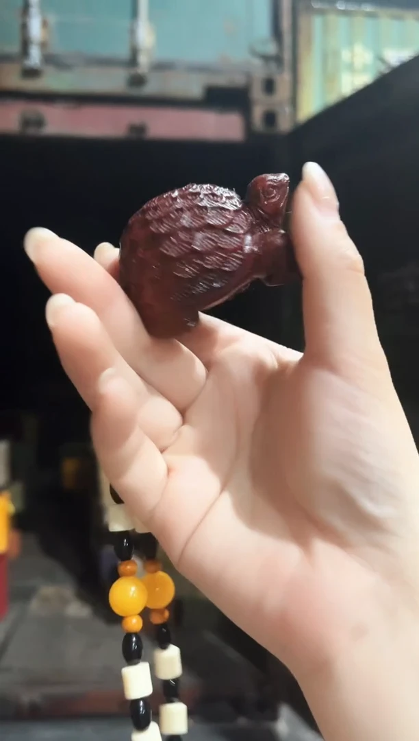 香榧木加加加加加加加加1
