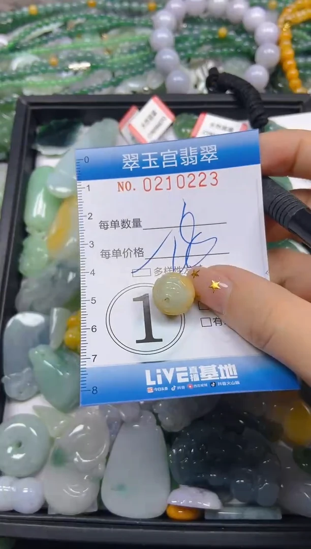 颈饰未镶嵌翡翠闪购C0210223多样性发其一