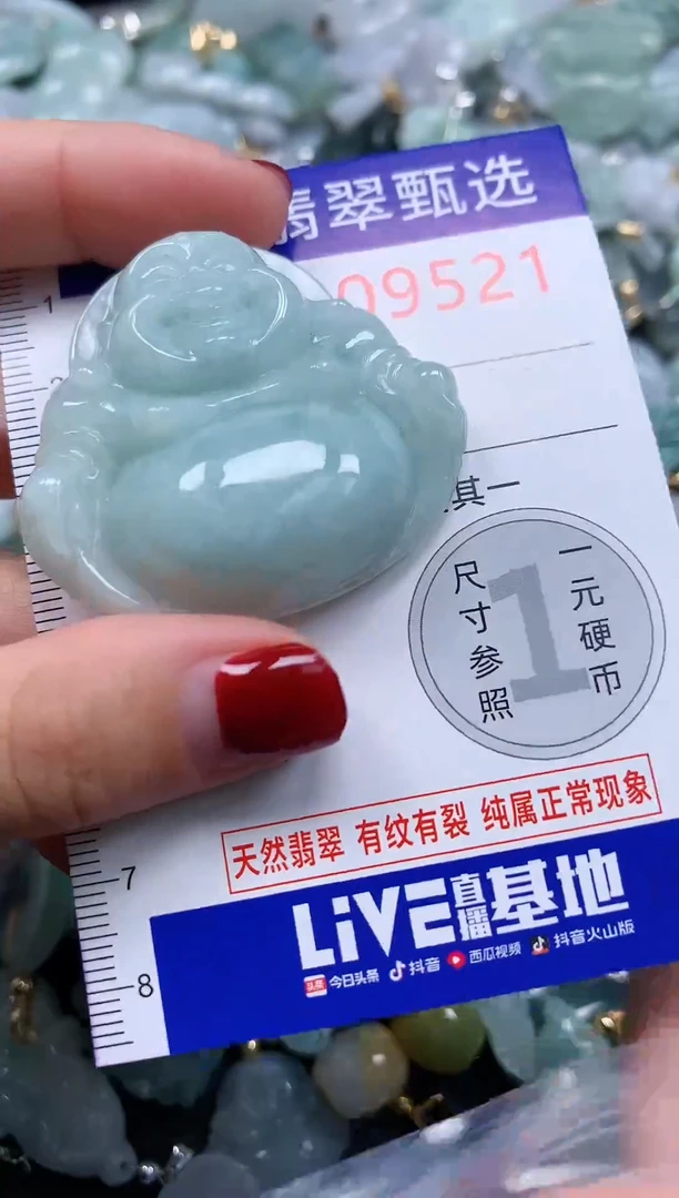 颈饰未镶嵌翡翠9521