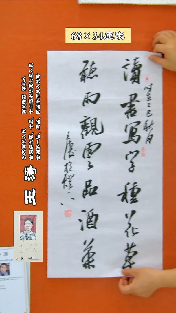 书法245王涛书法作品