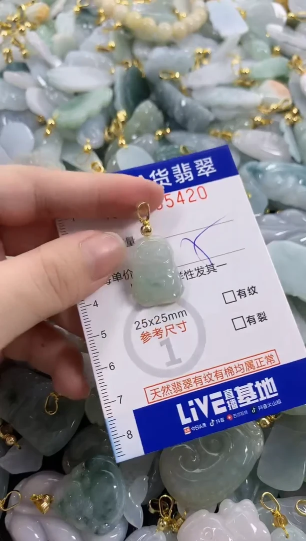 颈饰未镶嵌翡翠天然A货翡翠