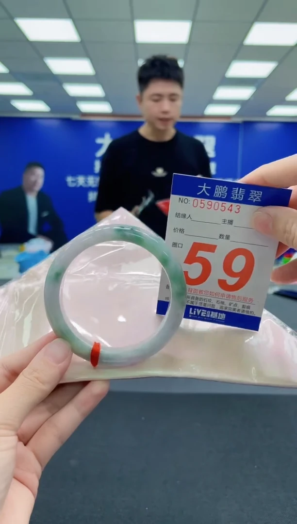 未镶嵌手镯翡翠AAAAAAAAA