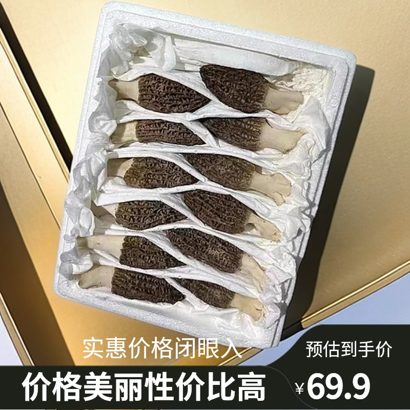 羊肚菌新鲜头茬精选鲜货500g当季时令食用菌鲜蘑菇羊肚菌现摘现发