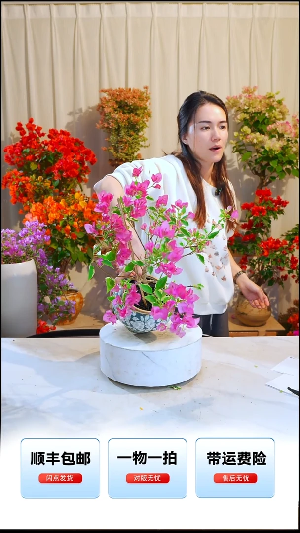 大部分开放少量花苞蜡染粉