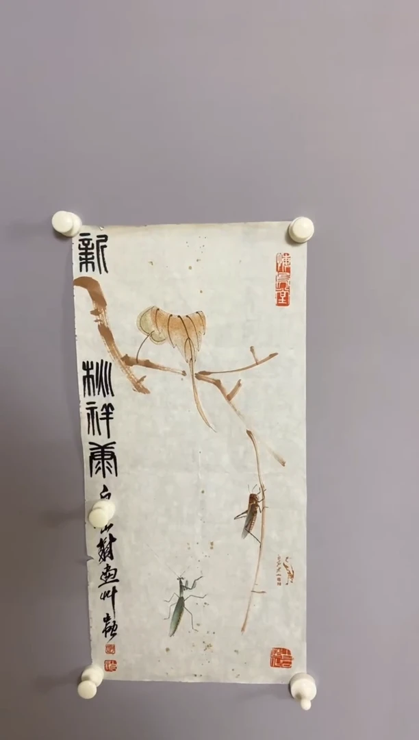 薛*永高商品专属链接 晶