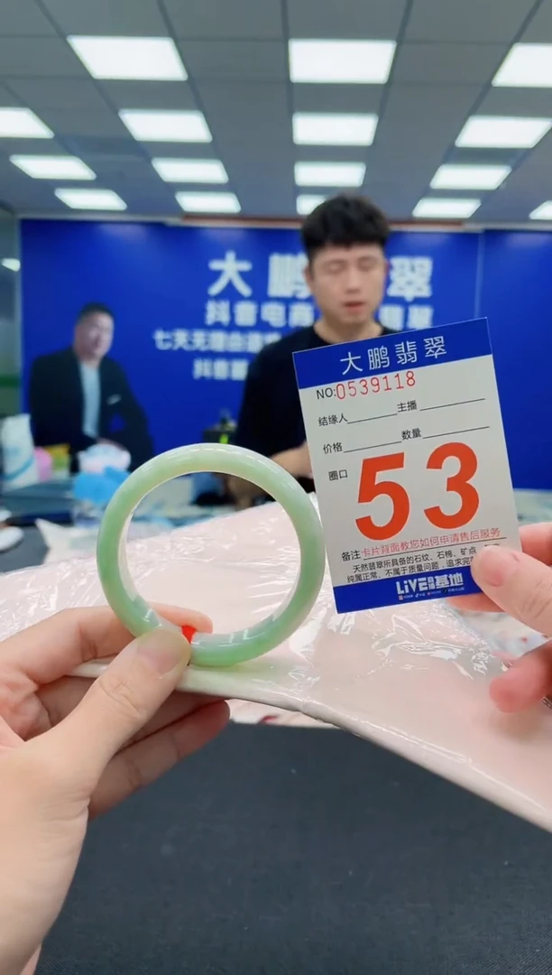 未镶嵌手镯翡翠AAAAAAAAA