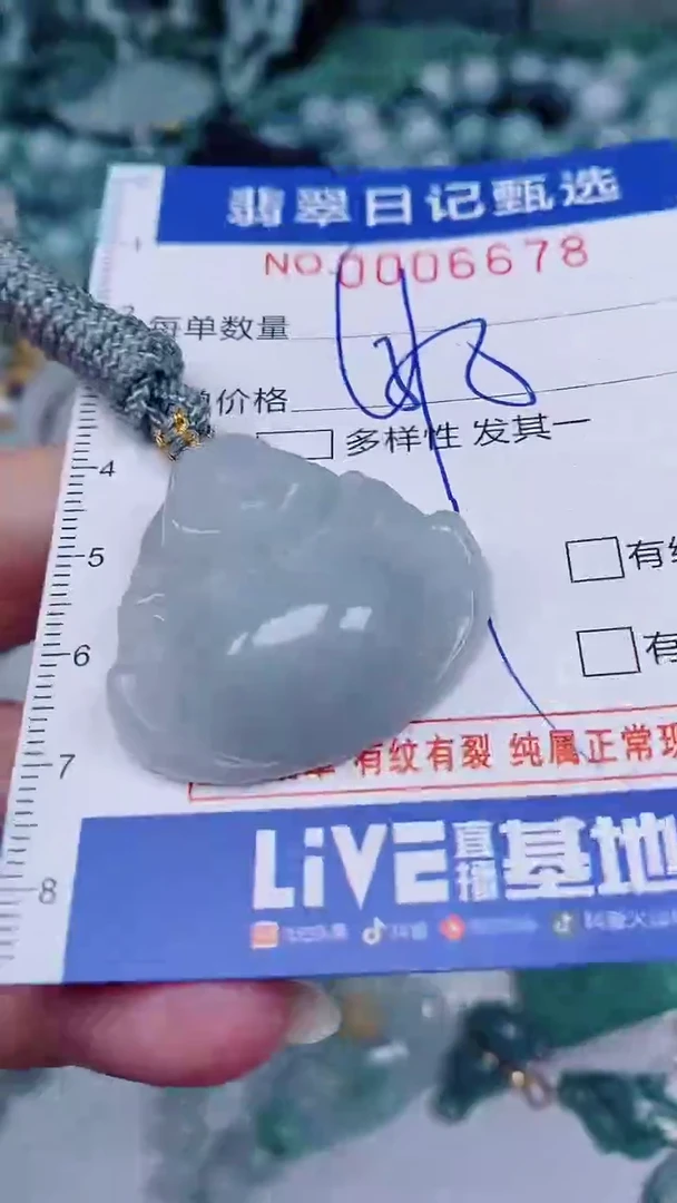 翡翠未镶嵌颈饰00006678