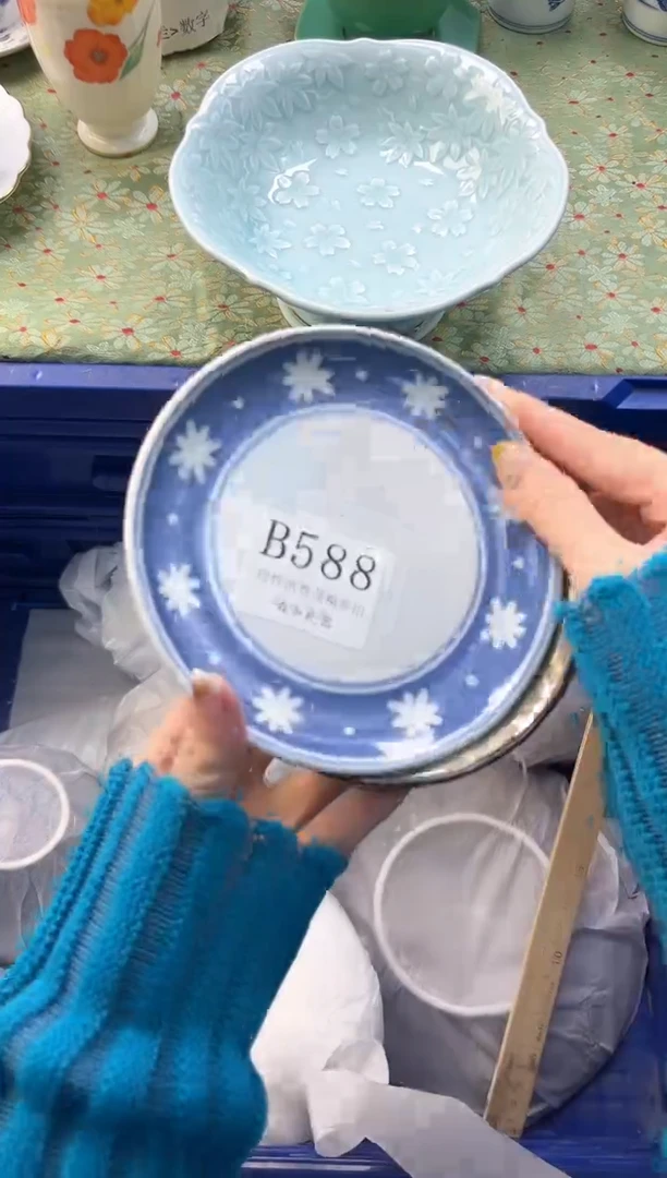 【闪购商品】瓷片          B588