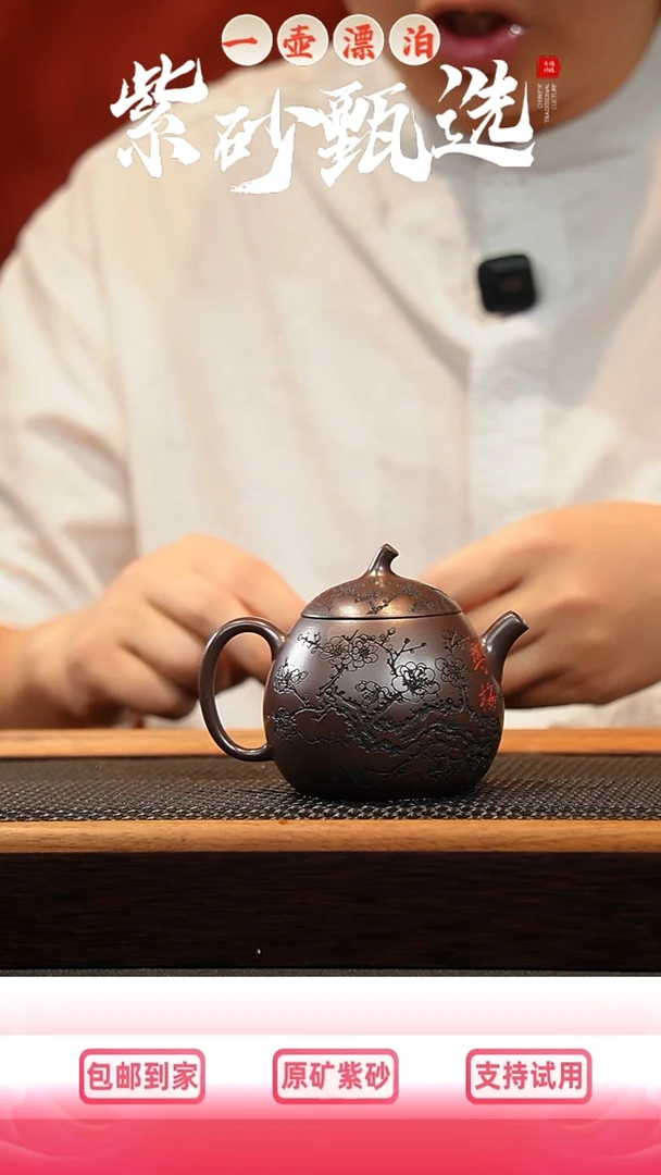茶壶紫砂 一壶漂泊紫砂茶器7019