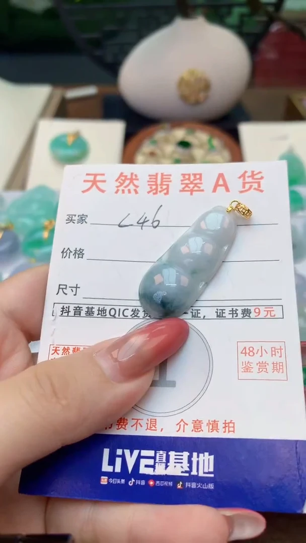 颈饰未镶嵌翡翠天然A货翡翠挂件