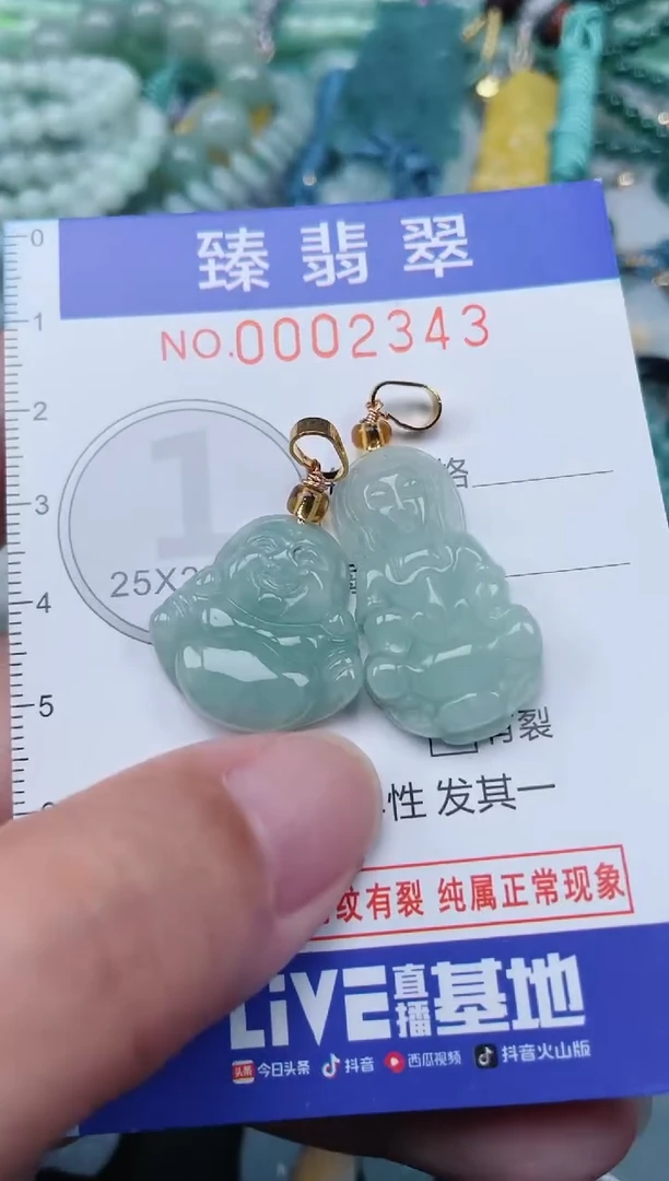 翡翠未镶嵌颈饰.0002343