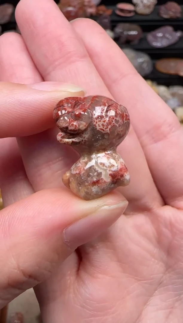 颈饰未镶嵌硅化珊瑚（珊瑚玉）625