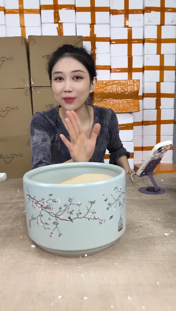 蝴蝶兰鸟笼蓝色中号21x15
