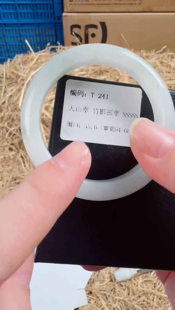 未镶嵌手镯石英质玉T-241