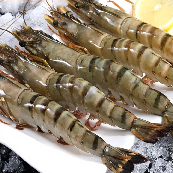 18-20规格特大号黑虎虾速冻锁鲜 一斤8-11只 24-33只/3斤