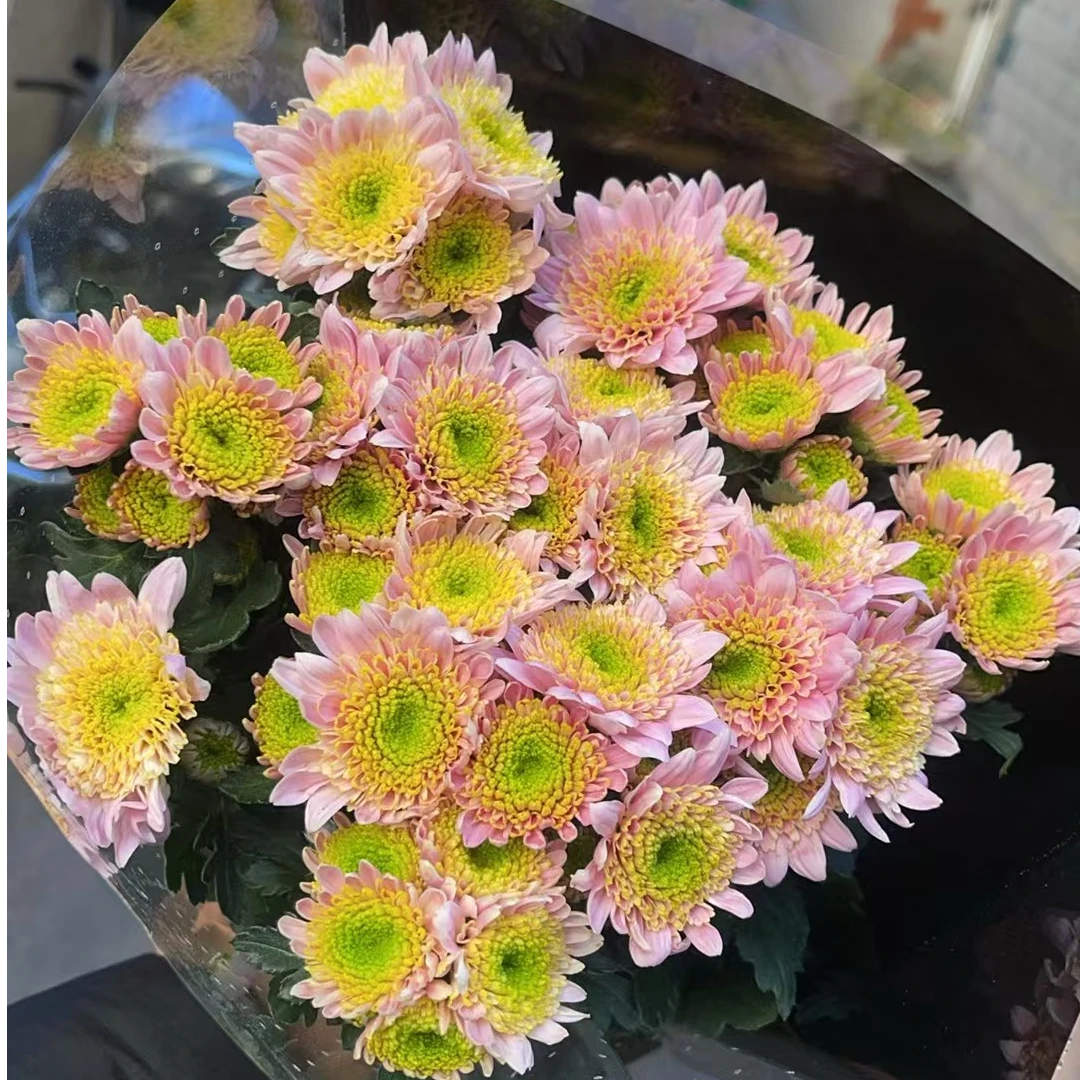 大囍悦 小雏菊全店任意N单一个运费