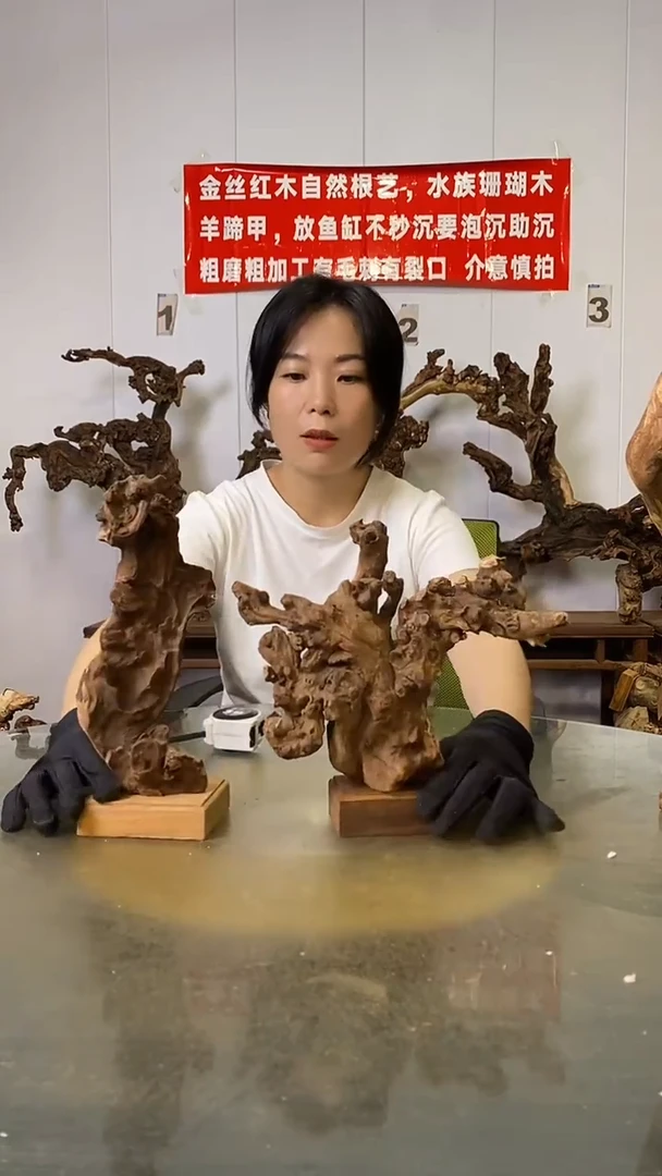 香榧木陈*均金丝红木   羊蹄甲