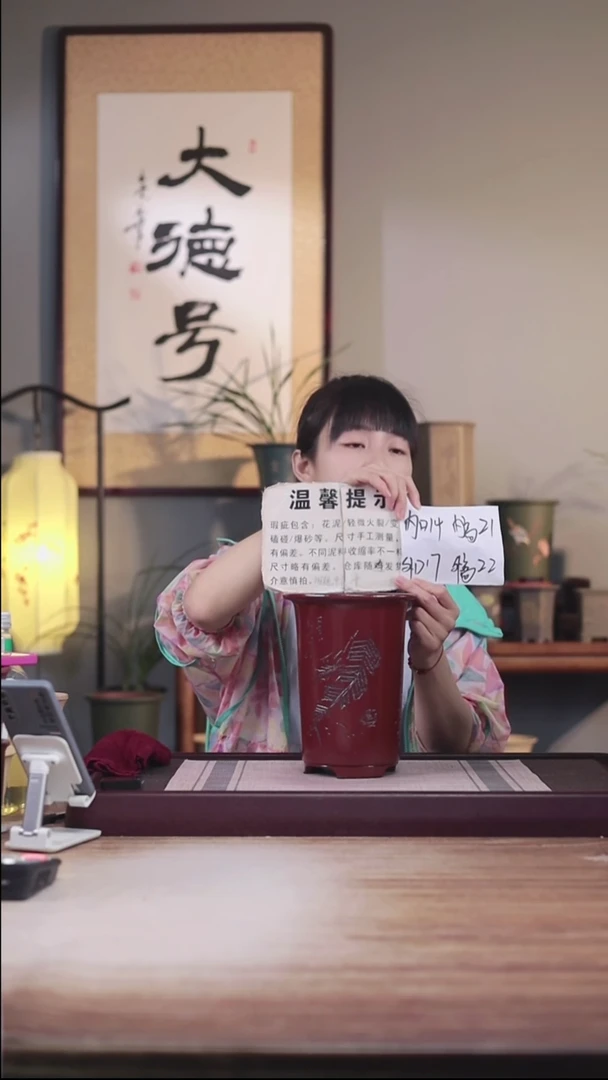 紫砂花盆瑕疵胭脂红刻芭蕉笼香款一只无托盘