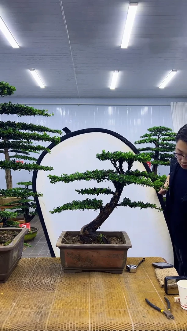 无花朵喜***己0000000000000