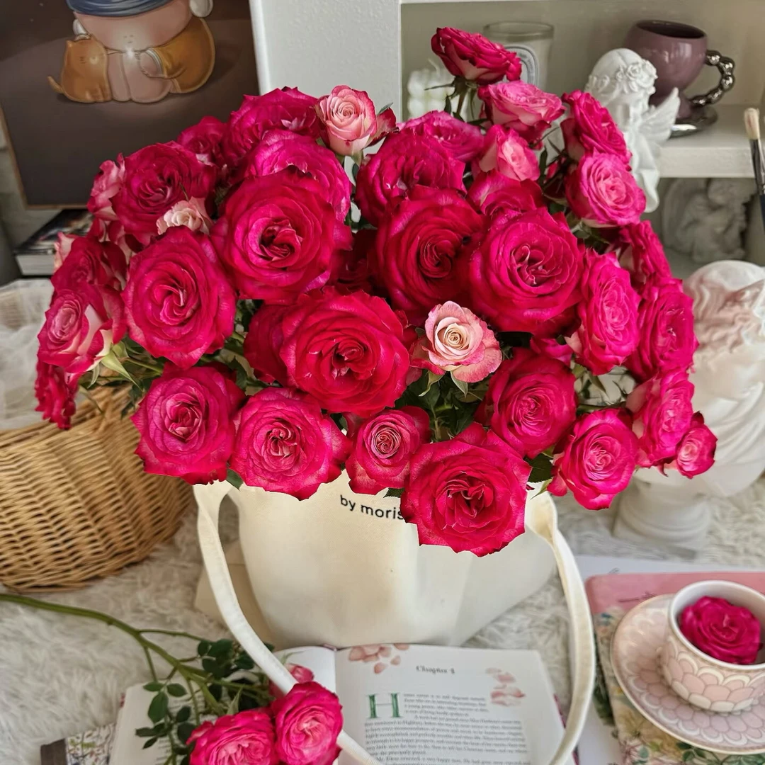 【云舍花卉】【狮子座】多头玫瑰 全场任意满两单及以上鲜花包邮