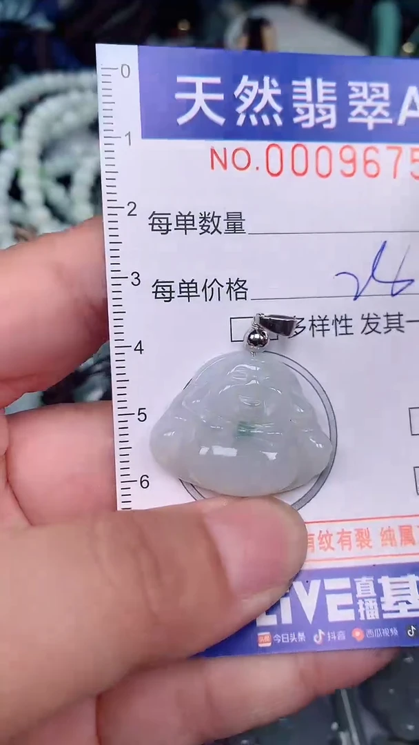 翡翠未镶嵌颈饰...0009675