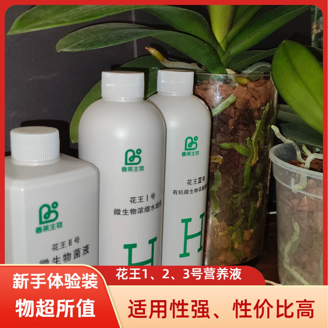 新手体验装 花王123号营养液（厂家推广钜惠）