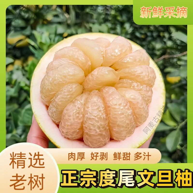 小雯精选福建仙游度尾文旦柚正宗老树红心当季新鲜酸甜多汁水果