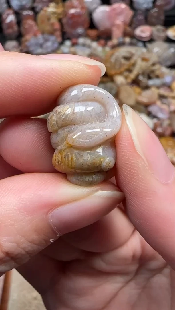 颈饰未镶嵌硅化珊瑚（珊瑚玉）545