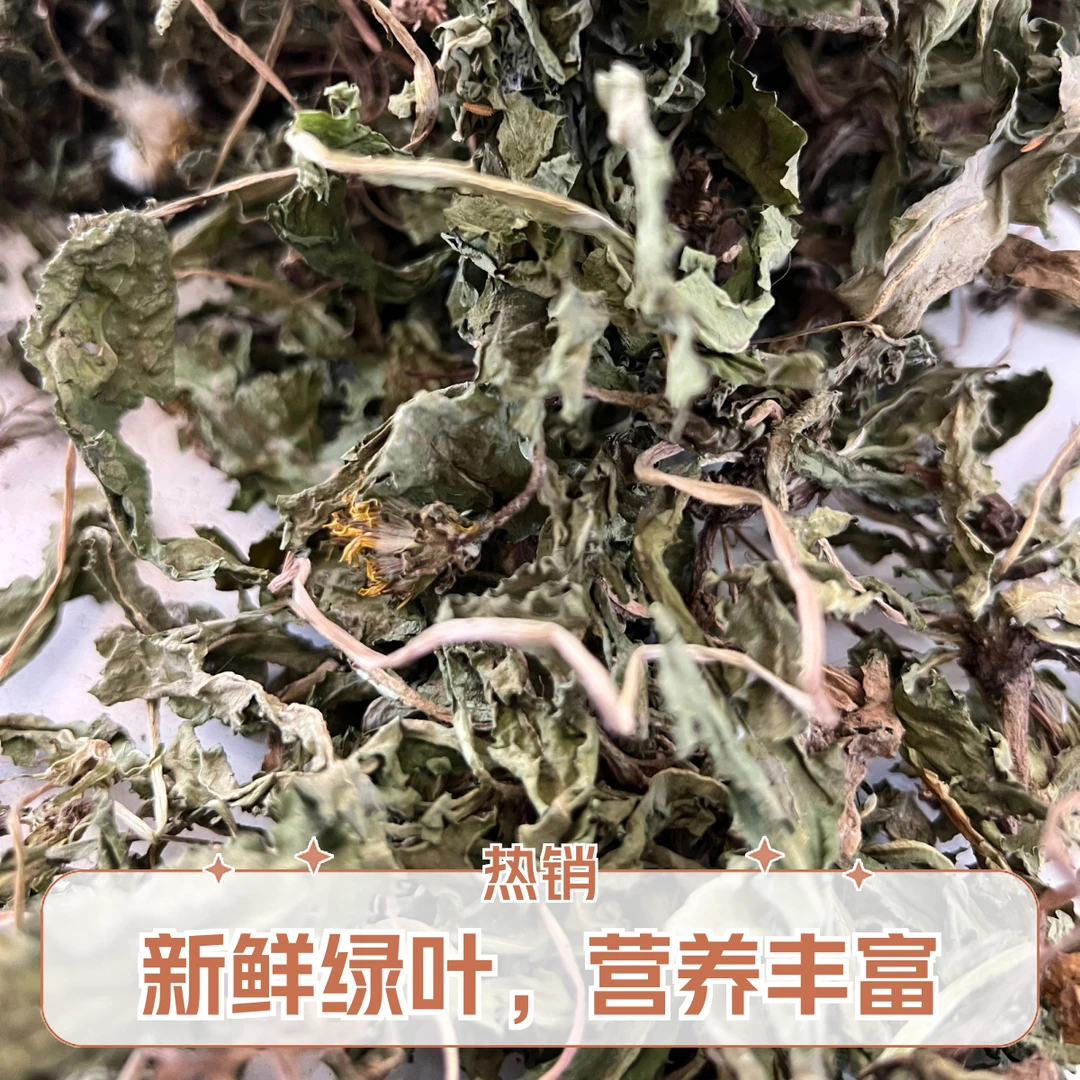 野生蒲公英野菜本草、婆婆丁（野生蒲公英、整颗带根茎带花）