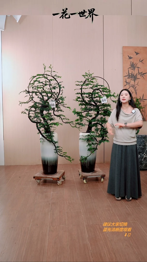 无花朵山**云两颗花好月圆链接