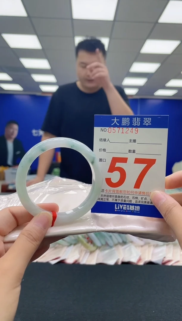 翡翠手镯未镶嵌0482677009