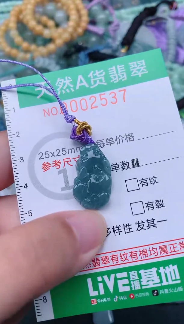 翡翠未镶嵌颈饰.0002537