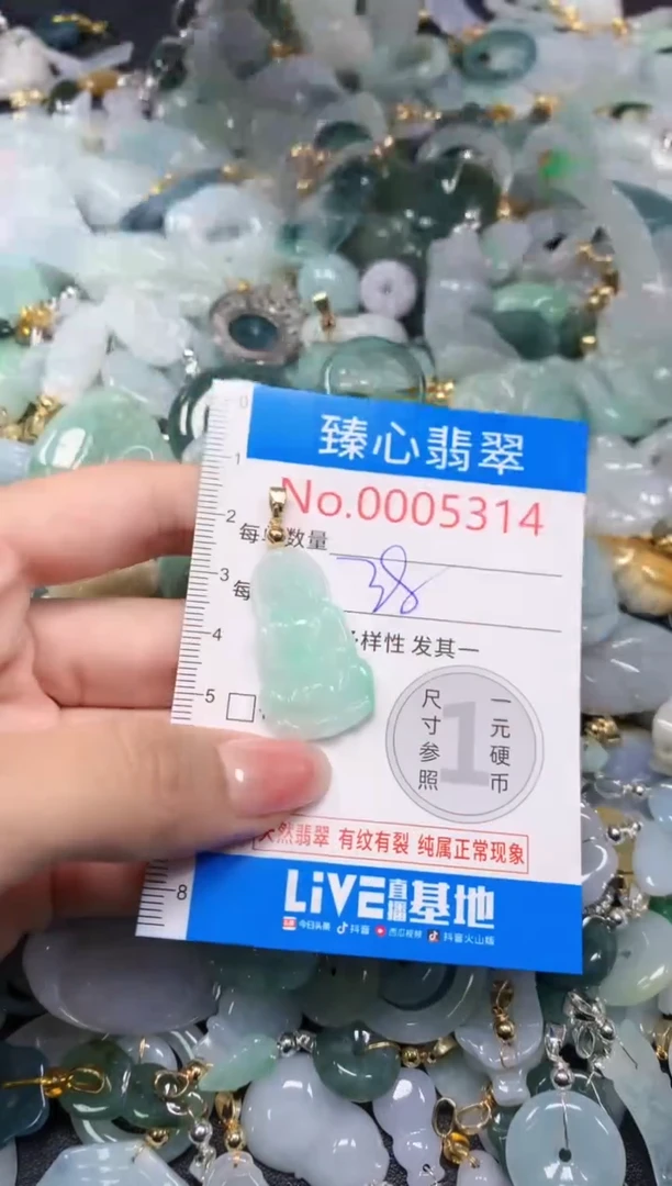 吊坠(不含链)未镶嵌翡翠5314