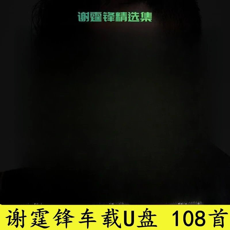 谢霆锋车载u盘新歌精选老歌MP3无损高音质汽车载流行音乐歌曲优盘