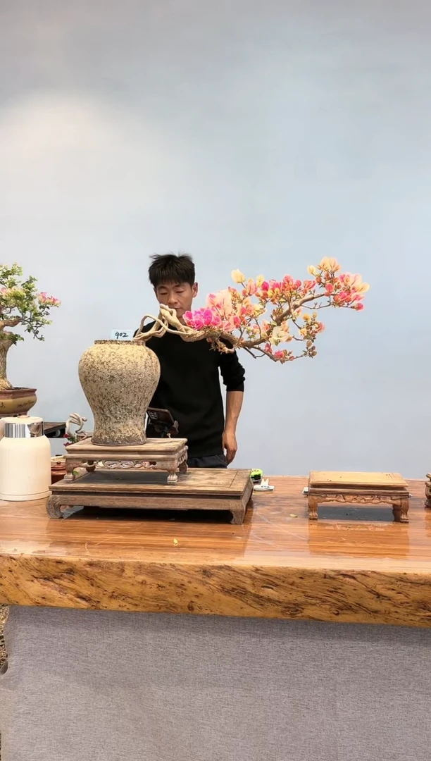 【闪购商品】AA902