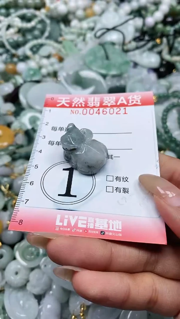 翡翠未镶嵌颈饰闪购0046021