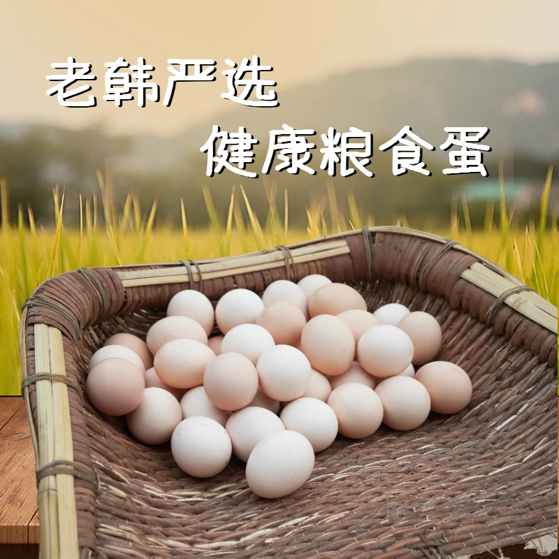 【老韩严选】山林散养粮食蛋60枚粉壳土鸡蛋