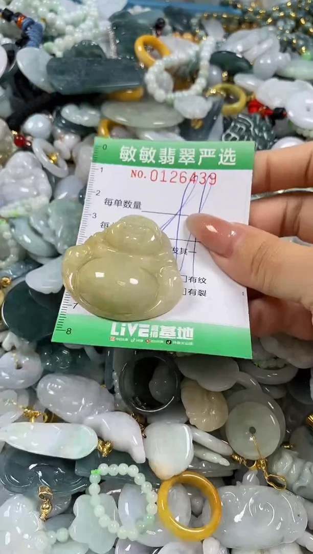 【闪购商品】翡翠颈饰未镶嵌闪购0126439