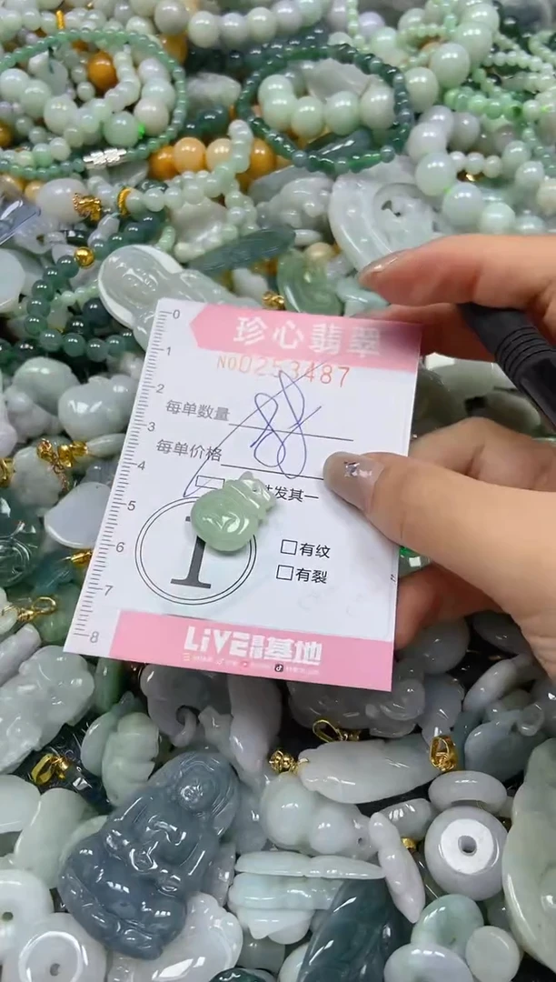 翡翠未镶嵌颈饰闪购0253487多样性发其一