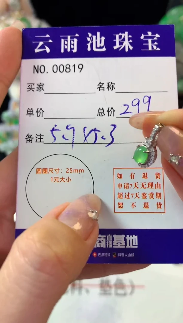翡翠银S925镶嵌颈饰翡翠