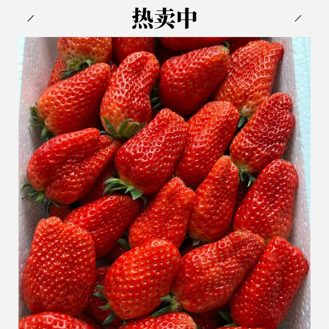 甜宝草莓600g左右