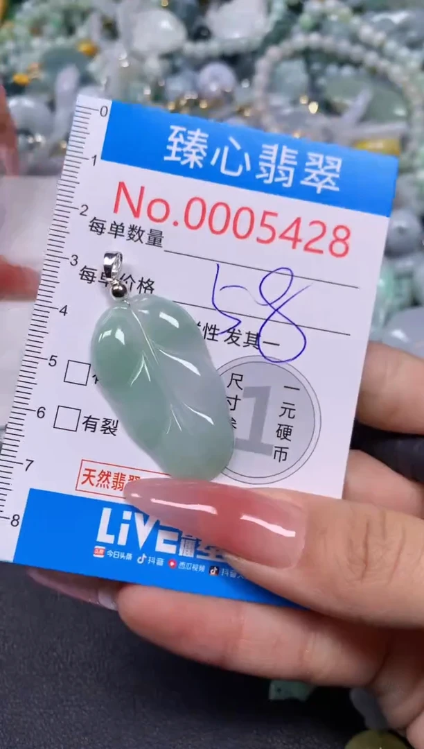 【闪购商品】翡翠颈饰未镶嵌含绳0005428