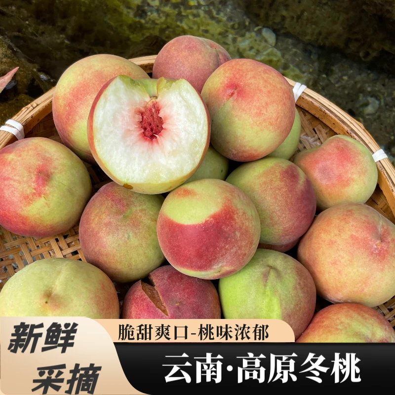 云南高山大理冬桃脆甜桃子新鲜水果雪山金秋蜜红冠硬毛桃整箱