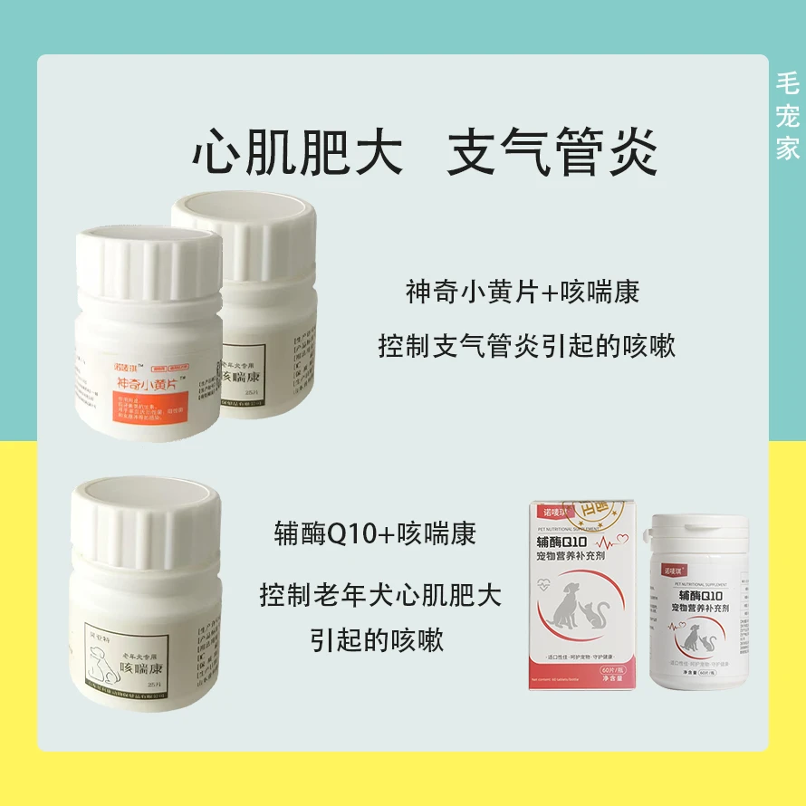 老年犬心肌肥大支气管炎引起的咳嗽心率过快干咳久咳
