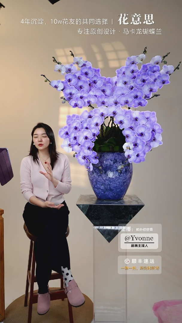 全部花朵012一物一拍蝴蝶兰艺术盆景