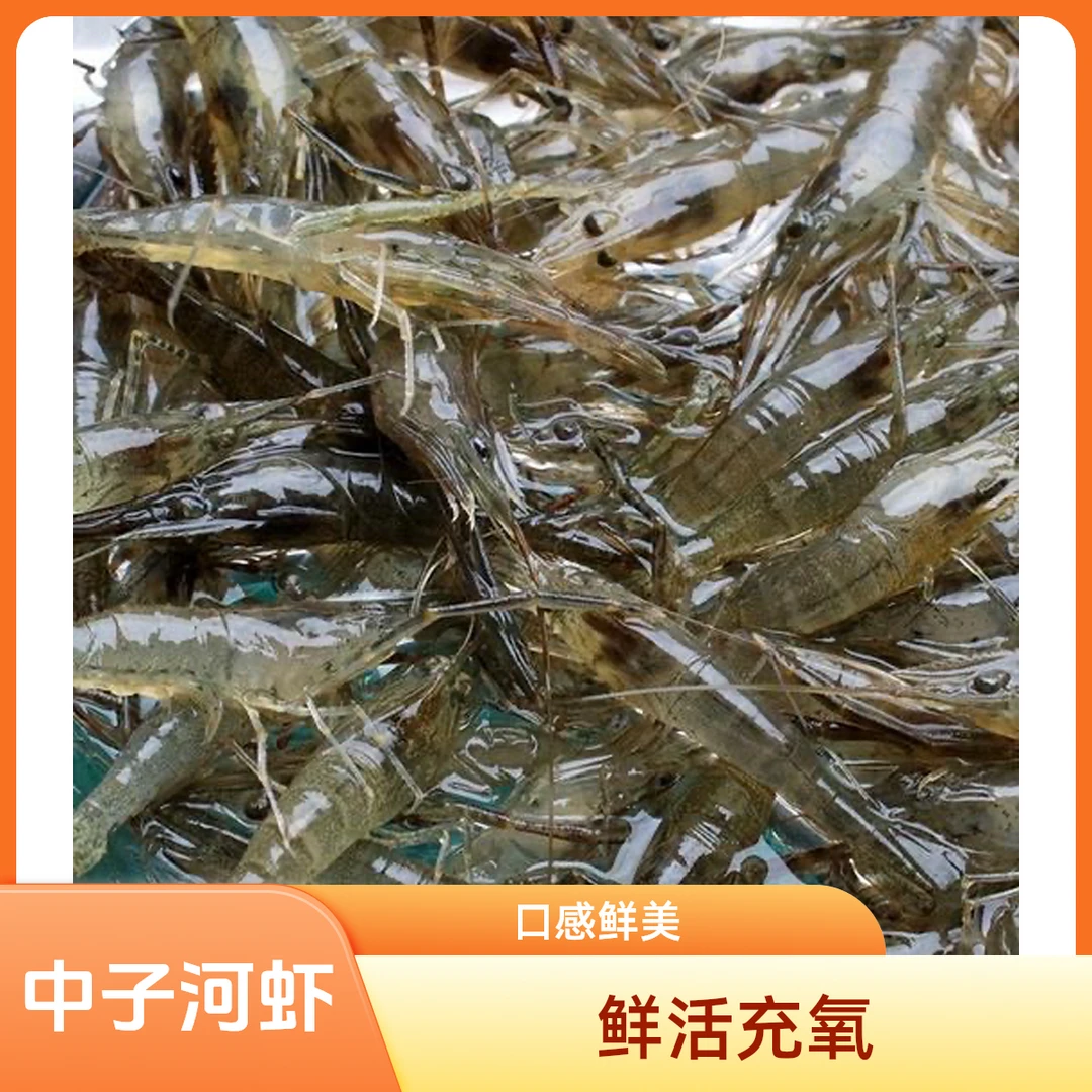 鲜活中子河虾250g,鲜活充氧